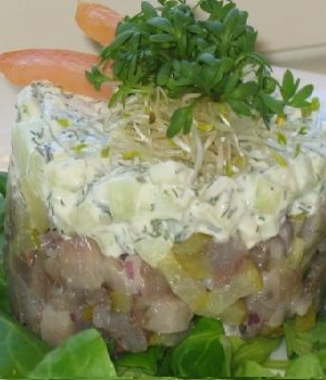 Haringtartaar met jenever roomsaus