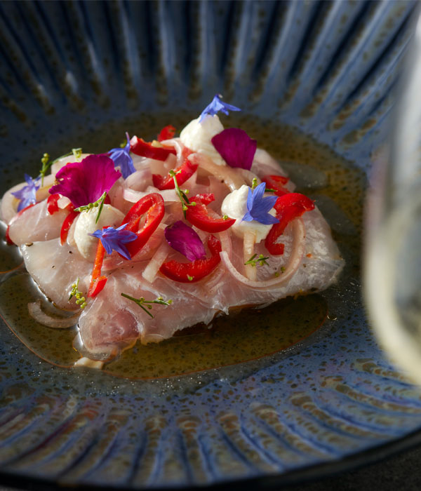 Ceviche van zeebaars  met Chorizo olie, citroenroomkaas, bloemen en gemarineerde rode peper