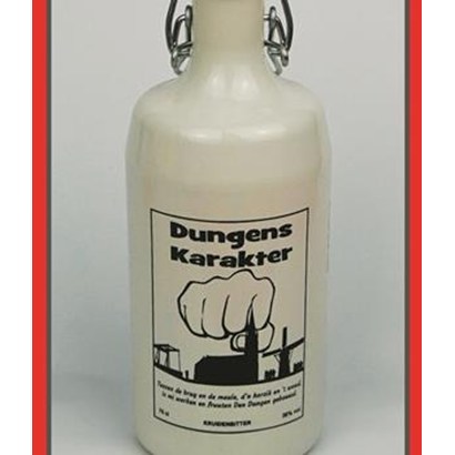 Dungens Karakter Dungens Karakter